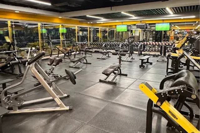 باشگاه پالادیوم